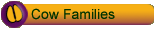 Cow Families